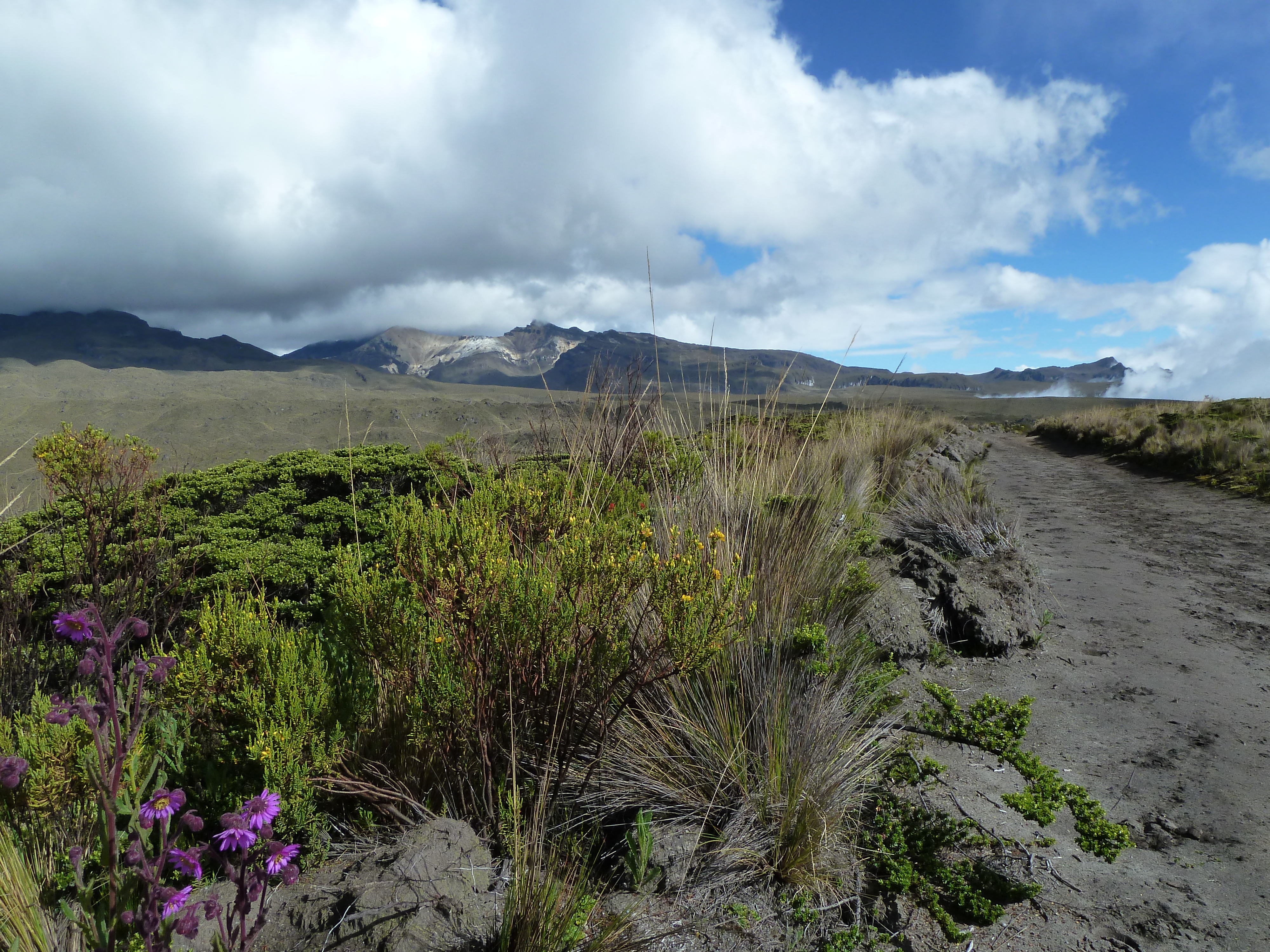Country #9.3 Colombia – Hiking in the Parque Nacional Natural Los Nevados